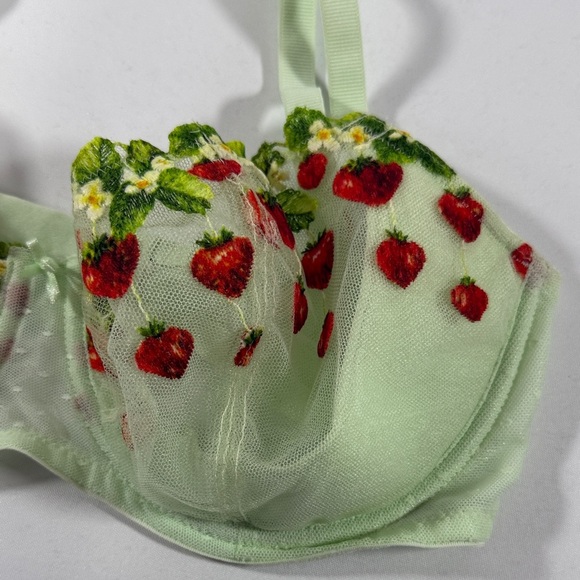 NWT! Victoria's Secret Light Green Bra with Red Floral Design Unlined - Picture 3 of 9